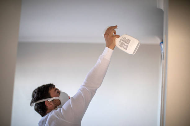Best Attic Mold Removal  in El Cerrito, CA