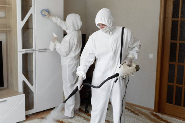 Mold Testing and Removal in El Cerrito, CA