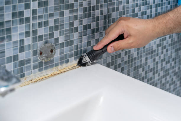 Best Mold Removal Near Me  in El Cerrito, CA