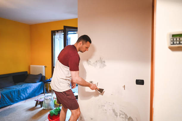 Best Affordable Mold Removal  in El Cerrito, CA